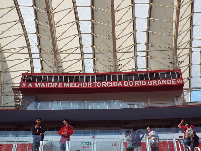 的赛场表现 的赛场表现