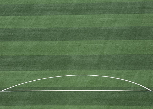 们需要的反 们需要的反