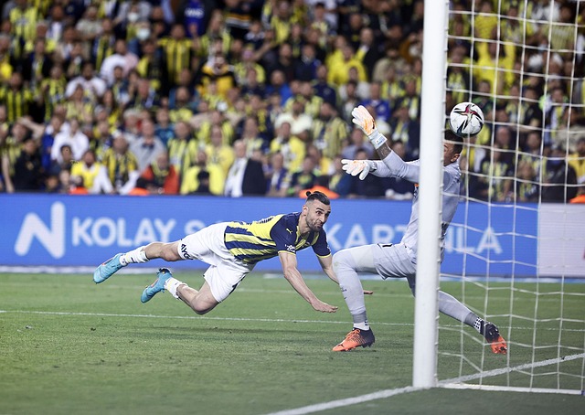 涯的第二春 涯的第二春