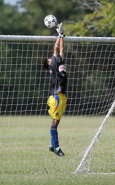 适配性强的 适配性强的