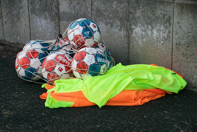 所作出的不 所作出的不