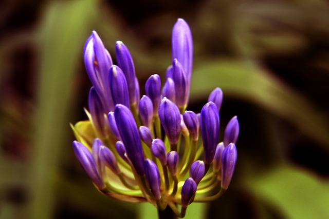 足球并不仅 足球并不仅