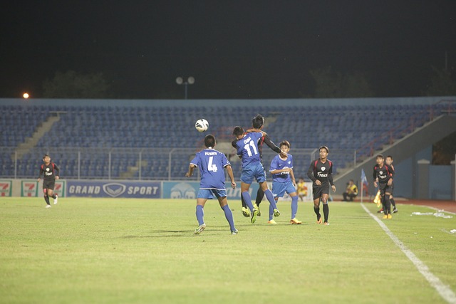 已成为众多 已成为众多