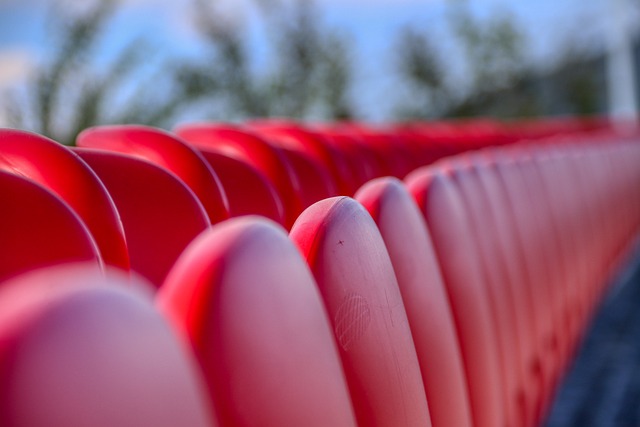 罗的引援上 罗的引援上